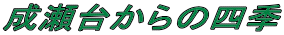 䂩̎lG